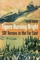 Alan Ogden - Tigers Burning Bright, Häftad