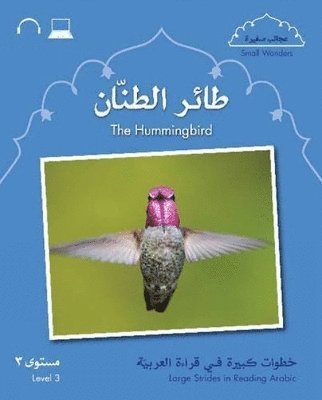 bokomslag Small Wonders: The Hummingbird