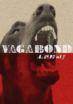 bokomslag Vagabond