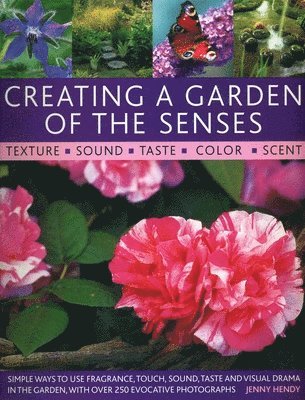 Jenny Hendy - Creating a Garden of the Senses, Häftad