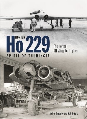 bokomslag Horten Ho 229 - Spirit of Thuringia