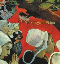 bokomslag Gauguin's Vision