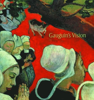 bokomslag Gauguin's Vision