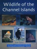 Sue Daly - Wildlife of the Channel Islands, Häftad