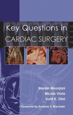 bokomslag Key Questions in Cardiac Surgery