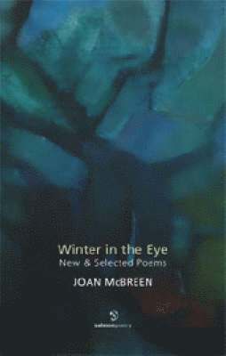 bokomslag Winter in the Eye: New and Selected Poems