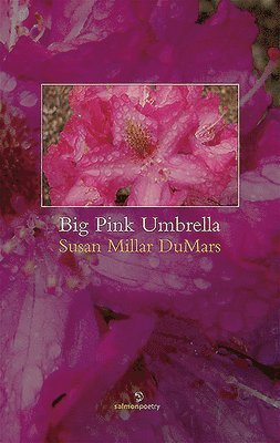 Big Pink Umbrella 1