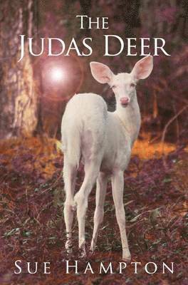 Judas Deer
