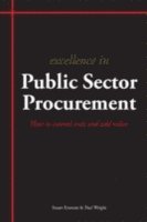 bokomslag Excellence in Procurement Strategy