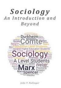 bokomslag Sociology: An Introduction and Beyond