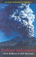 bokomslag Italian Volcanoes