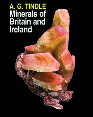 bokomslag Minerals of Britain and Ireland