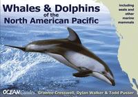 bokomslag Whales and Dolphins of the North American Pacifi - Including Seals and Other Marine Mammals