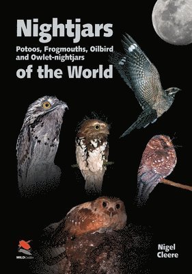Nigel Cleere - Nightjars, Potoos, Frogmouths, Oilbird, and Owlet–nightjars of the World, Inbunden