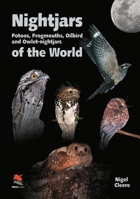 Nightjars, Potoos, Frogmouths, Oilbird, and Owletnightjars of the World 1