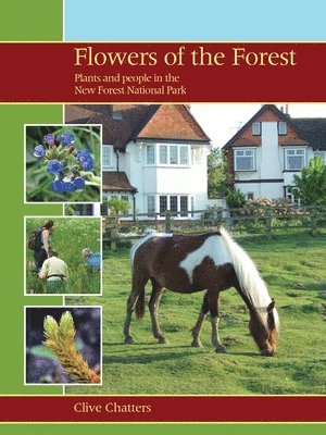 Clive Chatters - Flowers of the Forest – Plants and People in the New Forest National Park, Häftad