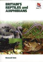 bokomslag Britain`s Reptiles and Amphibians