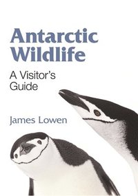 bokomslag Antarctic Wildlife - A Visitor`s Guide