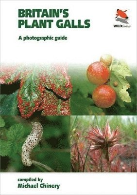 bokomslag Britain`s Plant Galls - A Photographic Guide