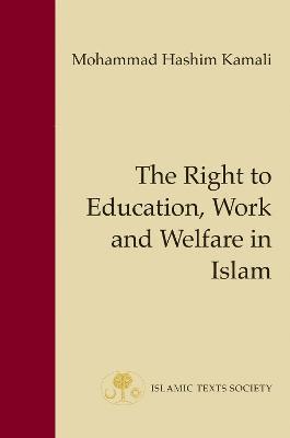 bokomslag The Right to Education, Work and Welfare in Islam