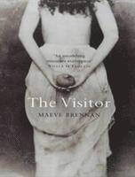 bokomslag The Visitor