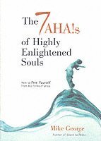 bokomslag 7 Aha`s of Highly Enlightened Souls