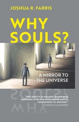 Joshua R. Farris - Why Souls?, Häftad
