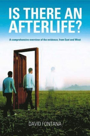 David Fontana - Is There an Afterlife?, Häftad