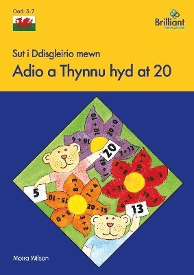 bokomslag Sut i Ddisgleirio mewn Adio a Thynnu hyd at 20