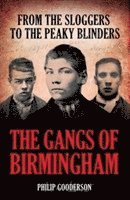 bokomslag The Gangs of Birmingham