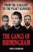 Gangs of Birmingham