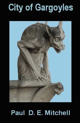 bokomslag City Of Gargoyles