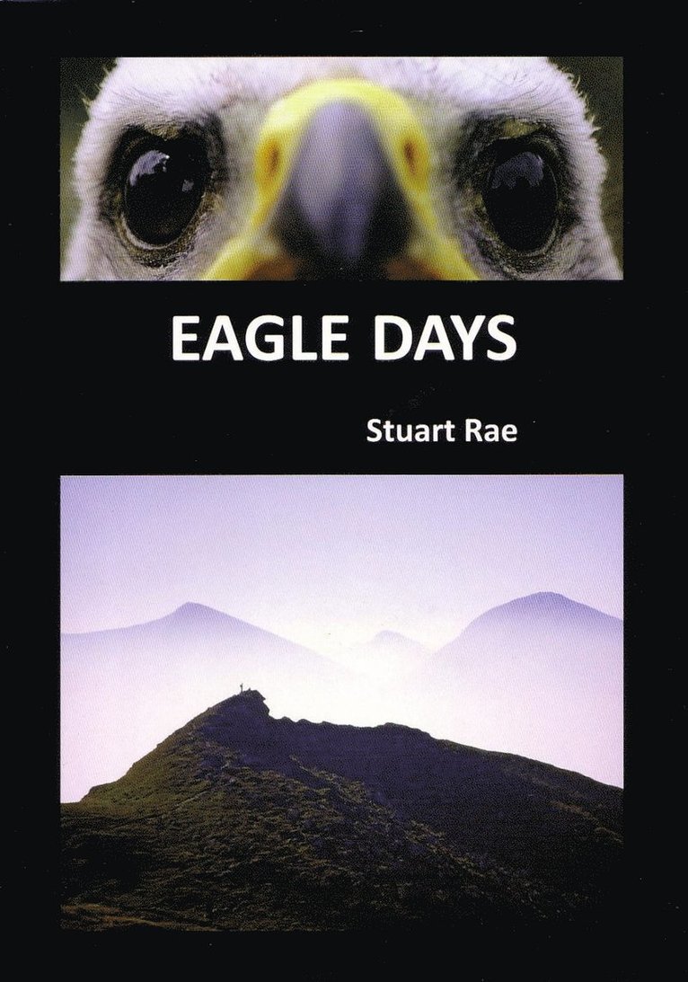 Eagle Days 1