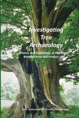 bokomslag Investigating Tree Archaeology
