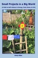 bokomslag Small Projects in a Big World: A path to Self-reliance in Energy, Food, Home, and Life