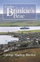 bokomslag Under Brinkie's Brae