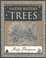 bokomslag Native British Trees