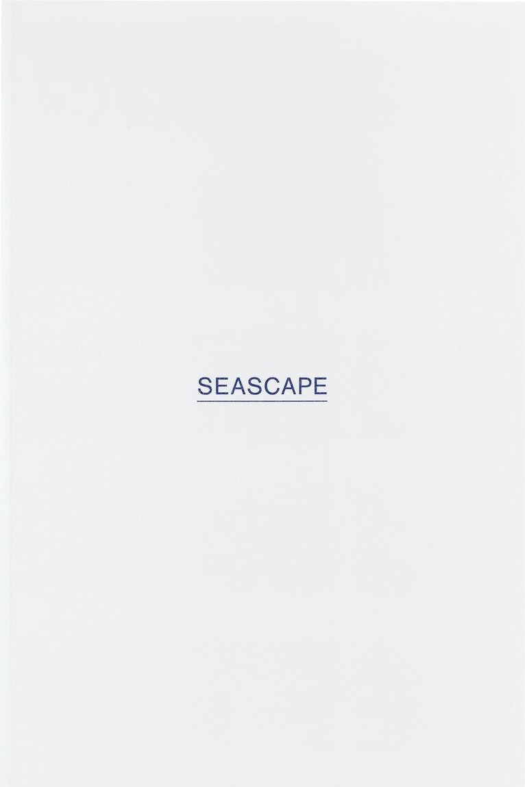 Steven Bode - Seascape: Susan Collins, Häftad