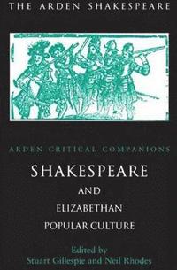 bokomslag Shakespeare And Elizabethan Popular Culture