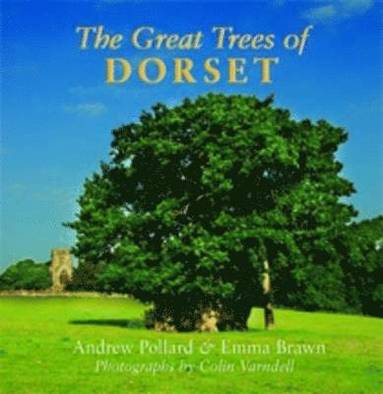 bokomslag Great Trees of Dorset