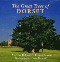 Andrew Pollard, Emma Brawn - Great Trees of Dorset, Häftad