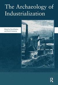 bokomslag The Archaeology of Industrialization: Society of Post-Medieval Archaeology Monographs: v. 2