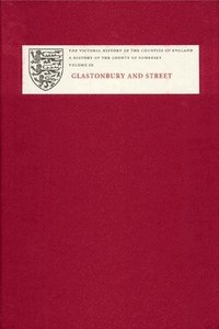 bokomslag A History of the County of Somerset