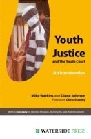 bokomslag Youth Justice and the Youth Court