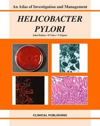 bokomslag Helicobacter Pylori