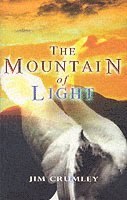 bokomslag The Mountain of Light