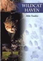 bokomslag Wildcat Haven