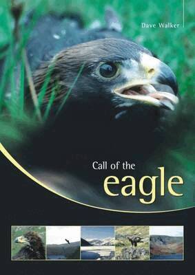 Dave Walker - Call of the Eagle, Häftad
