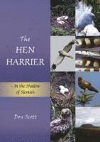 The Hen Harrier 1