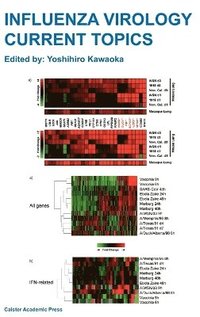 bokomslag Influenza Virology